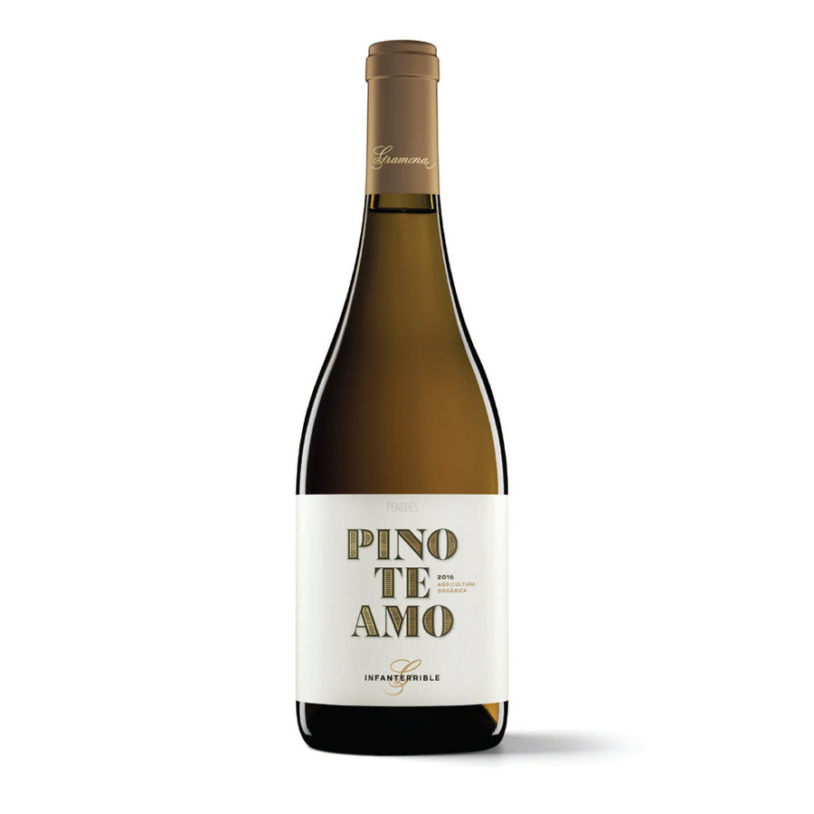 Pinoteamo 2017